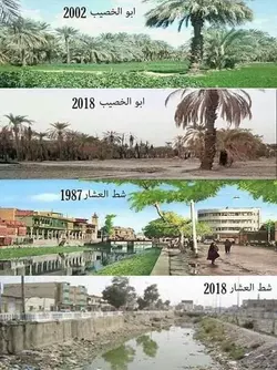 India over the years.webp