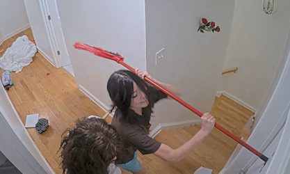 candytheft2.webp