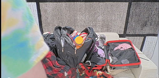 Screenshot 2025-06-20 134222.webp