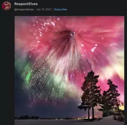 Screenshot 2025-06-14 at 21-03-19 RespectElves (@respectelves) Minds.webp
