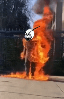 1000011971.gif
