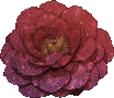 gl.gif
