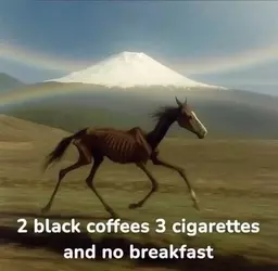 Gorgeous+boundless+outrageous_1870bb_12560737.webp