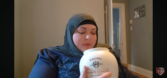 Screenshot_20250620_171025_YouTube.webp