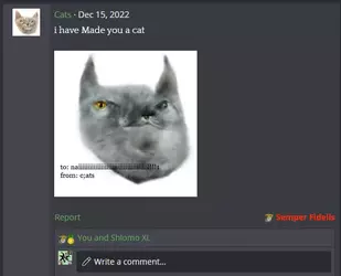 derpy ai cat1.webp