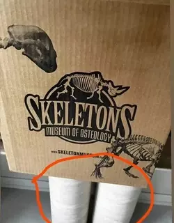 skull1.webp