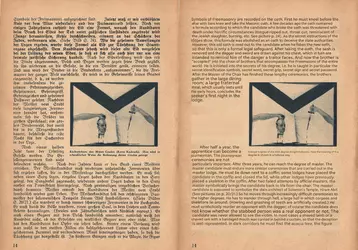 Revealed World Freemasonry - Translated (NSDAP 1935)[16].webp
