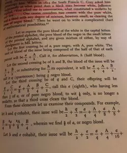 Race Algebra.webp