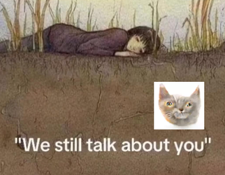 RIP cats.webp