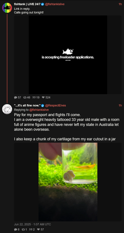 Screenshot 2025-06-21 at 22-35-06 It's all fine now. (@RespectElves) Pay for my passport and ...webp