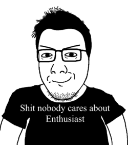 Null (Shit nobody cares about Enthusiast).webp