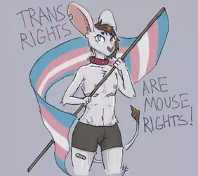 mouse_rights_by_hidingfoxy_djbc46x-fullview.webp