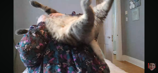 Screenshot_20250622_143731_YouTube.webp