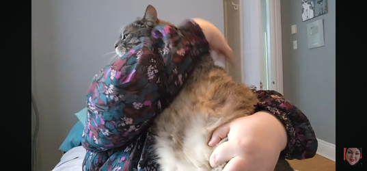 Screenshot_20250622_143808_YouTube.webp