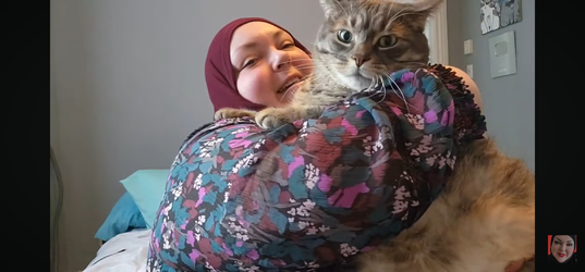 Screenshot_20250622_143819_YouTube.webp