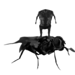 1750634367723.webp