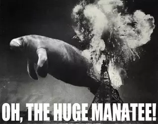 thehugemanatee-256561775.webp