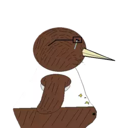ItsOverKiwi2.webp
