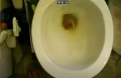 Spax3 bathroom kiwifarms 2.webp