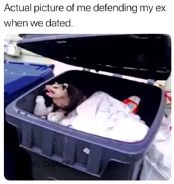 muh ex.webp