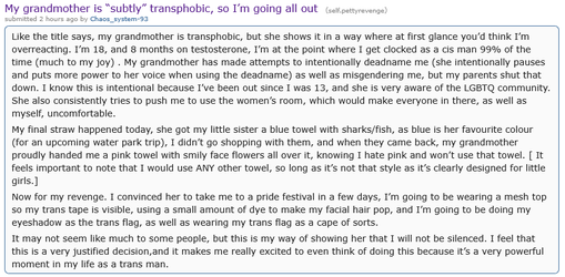Screenshot 2025-06-23 at 22-10-43 My grandmother is “subtly” transphobic so I’m going all out...webp