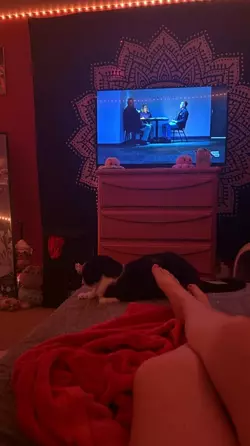 tv.webp