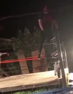 IMG_1082.gif
