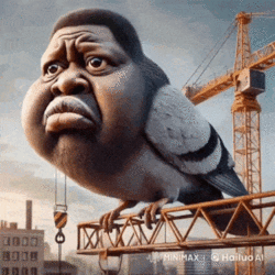 1000012432.gif
