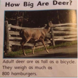 deerburger.webp