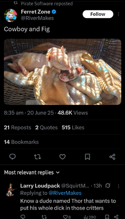 Screenshot_20250625_101509_X.webp