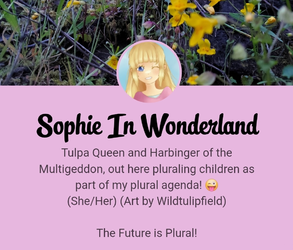 sophieindenialland.webp
