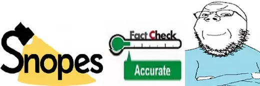 Snopes fact check.webp