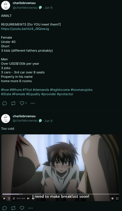 Screenshot_20250625_101516.webp