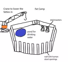 fat camp.webp