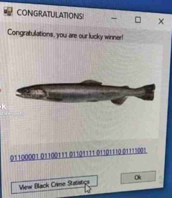 1747488471709709.webp