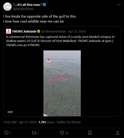 Screenshot 2025-06-24 at 13-50-25 It's all fine now. on X I live kinda the opposite side of t...webp