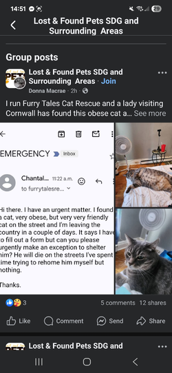 Screenshot_20250625_145141_Facebook.webp