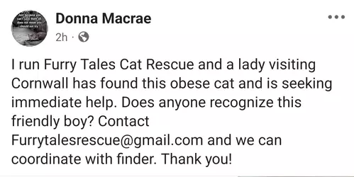 Screenshot_20250625_120729_Facebook (1).webp