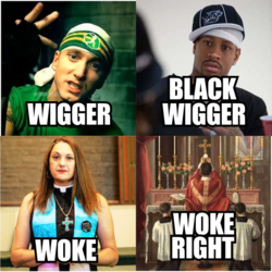 WokeIsToWiggerAsBlackWiggerIsToWokeRight.webp