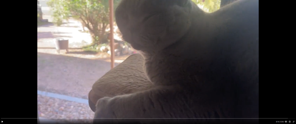 Capture3.webp
