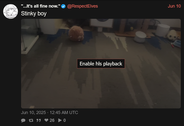 Screenshot 2025-06-25 at 17-14-57 It's all fine now. (@RespectElves) Stinky boy nitter.webp
