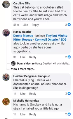 Screenshot_20250625_141210_Facebook (1).webp
