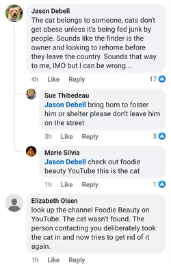 Screenshot_20250625_141241_Facebook (1).webp