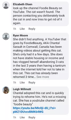 Screenshot_20250625_141245_Facebook (1).webp