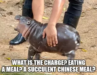 1750897786287419.webp