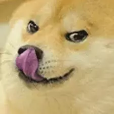 1750492324520558.webp