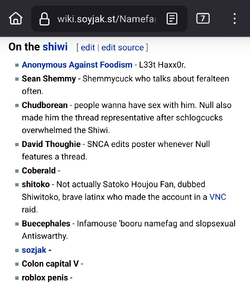 Screenshot_20250626_075310_Firefox Nightly.webp