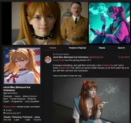 acid asuka hitler twitter page.webp