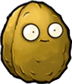 Wall-nut.webp