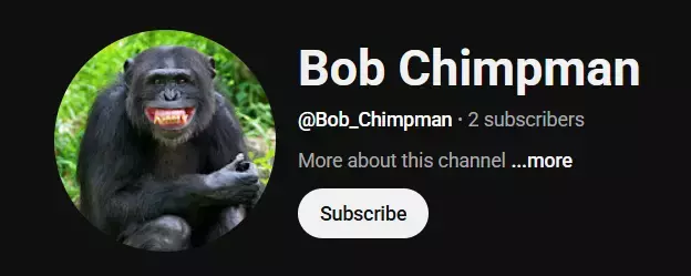 bob.webp